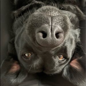 Meet your Posher, Sally